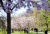 May holidays will be summery in Latvia