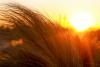 Weather & Traffic: Sunday 14 June: Always the sun