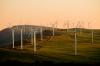 West Africa Emerges as a Rising Renewable Energy Powerhouse