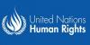 UN Urges Independent Probes into Deadly Nigeria, Chad Airstrikes