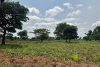 Controversial Chadian Law Risks Increased Rural Violence