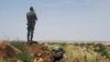 Today in Africa — Mar 13, 2026: Eritrean Cartoonist Freed After 15 Years Without Charge, Jihadist Violence Kills 1,300 in Niger’s Tillabéri Region