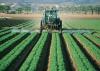IITA injects 410.75bn/- into agricultural transformation