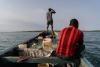How the ‘Galapagos of West Africa’ was Plundered by Floating Fishmeal Factories 