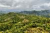 A reforestation corridor in Madagascar offers a future for lemurs and locals