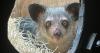 Red-listed animal native to Madagascar arrives at zoo
