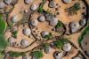 New Report Suggests Climate Adaptation Is a Security Imperative for Africa