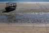 Chemical Contamination Hits Beach, Affects Fishing and Puts Community on Alert in Bahia
