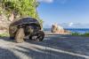 A transformative return: after 180 years of absence, ten giant tortoises achieved an unprecedented ecological restoration in Seychelles
