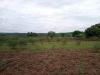 African women demand land ownership data