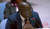South Sudan Envoy tells Security Council census is not a prerequisite for elections