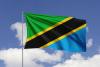 Tanzania has wealth: Now it needs wealth management