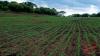 Experts identify challenges to Agri-Food Systems in South Sudan
