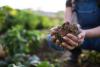SAS brings data analytics to South African micro-farmers to boost food security