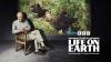 BBC Earth celebrates Sir David Attenborough’s 100th Birthday with new premieres and special programming