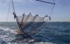 Study argues serious impacts of bottom trawling on food security