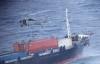 Blockade: US Marines board ship near Hormuz