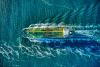Strait of Hormuz Traffic Choked to Trickle