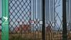 Egypt's alleged backing of Morocco on W. Sahara agitates Algeria