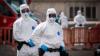 Hantavirus exposure warning issued by expert as travelers given strict instruction to avoid infection