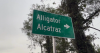 Environmental groups to hold press conference on 'Alligator Alcatraz'