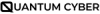 Quantum Cyber Terminates At-the-Market Facility, Citing Strengthened Financial Position and No Immediate Capital Needs