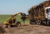 Provisional liquidation of Tongaat Hulett withdrawn in court as new agreement reached