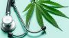 Georgia: Enrollment in State’s Medical Cannabis Access Program Spikes Following Law Change