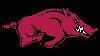 Ryan Silverfield, Arkansas Football Mourn as Hall of Fame Legend Dies at 64; CTE Feared