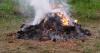 Alaska suspends burn permits across multiple regions due to wildfire risk