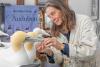 How 'Seabird Sue' Blends Art and Science to Attract Birds Back to Lost Habitat