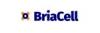 BriaCell Engages Consulting and Branding Firms to Support Commercial and Market Access Evaluation of Bria-IMT™