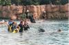 Going Places: Themeparks, Attractions, Cultural Institutions Roll Out YOLO Luxury Travel Experiences