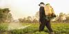 Vermont Senate advances landmark ban on Parkinson’s pesticide