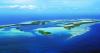 Island forest restoration needs both native plants and native fungi to succeed