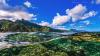 $4.6M to restore coral reef in American Samoa