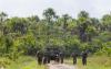 Beyond Article 5:  Who defends Europe’s far-flung territories?