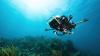 New autonomous reef robot follows shrimp snaps and fish calls to map marine life zones