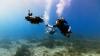 Autonomous Underwater Robot Discovers Hidden Coral Reef Hotspots