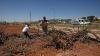 Saudis and Kuwait suspend U.S. base access over Hormuz action; Israel razes Palestinian vineyards for settler road; Midterm updates