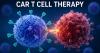 Imugene valuation points to 129% upside as broker backs azer-cel...