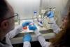 New NYU Abu Dhabi study reveals how DNA organisation in cells drives obesity, metabolic health