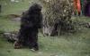 Remote Sakteng Comes Alive With Bhutan’s Great Yeti Quest Festival