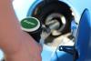 Slovenia: Suspension of certain gasoline duties for two months