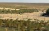 Central Asian countries to develop a major climate project to protect soils