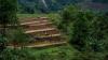Thailand travel advice update after British travellers 'caught'