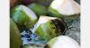 Chinese entrepreneur helps expand Thailand's coconut exports
