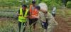 Ministry of Agriculture marks Plant Health Day