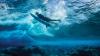 How ‘Adventure Capitalist’ Michael Schwab Found Purpose Creating the Perfect Wave