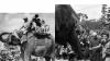 Japan's Children's Day: India recalls 'jumbo' gift from 7 decades ago